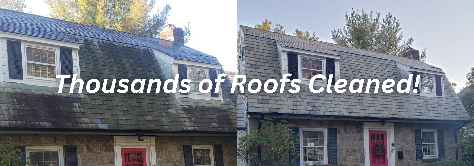 roof cleaning long island new york