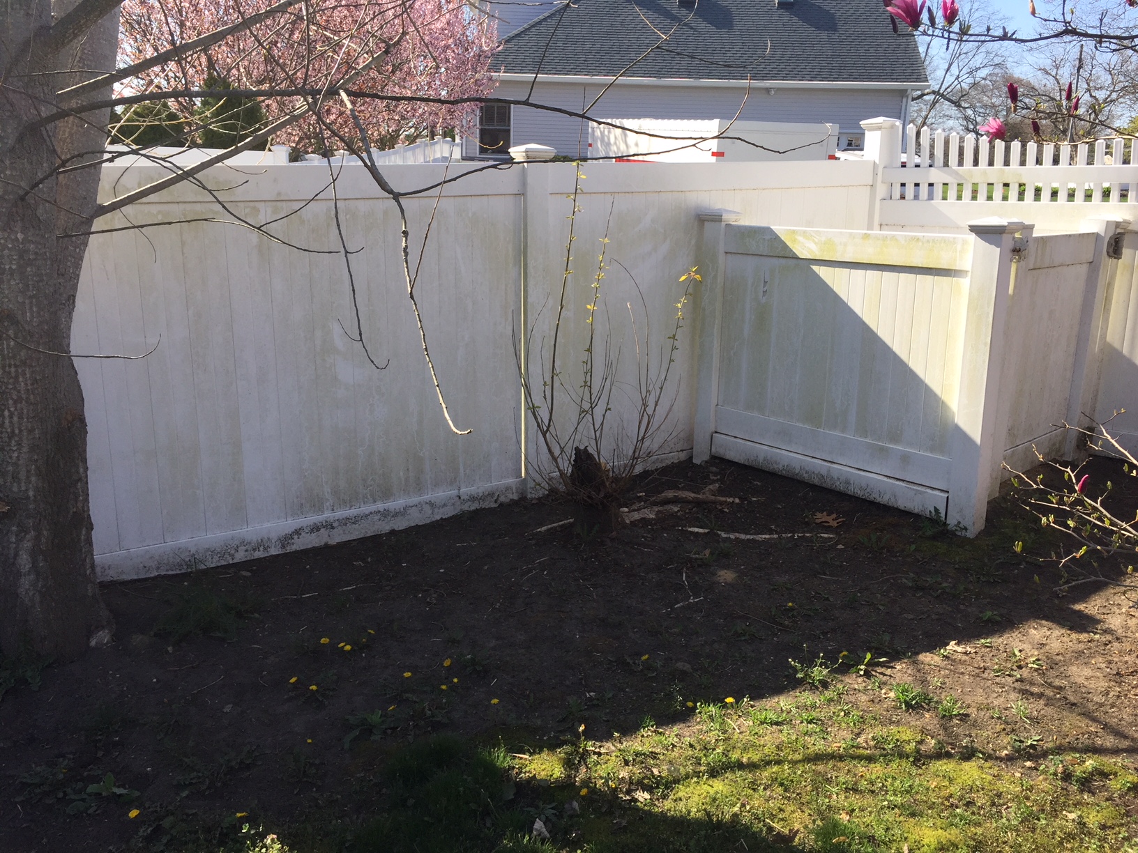 Cleaning Pool Pavers