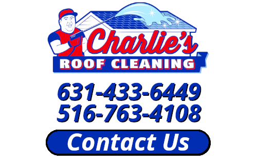 long island roof cleaning